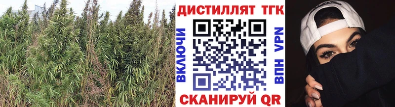 blacksprut зеркало  Шлиссельбург  ТГК жижа 