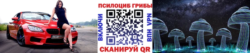 kraken вход  Шлиссельбург  Псилоцибиновые грибы мицелий 